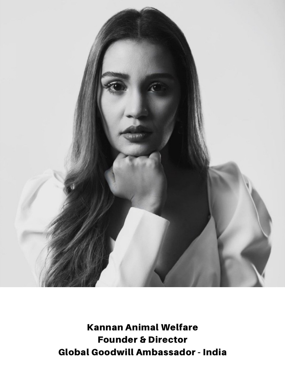 The Ambassador - Issue 8